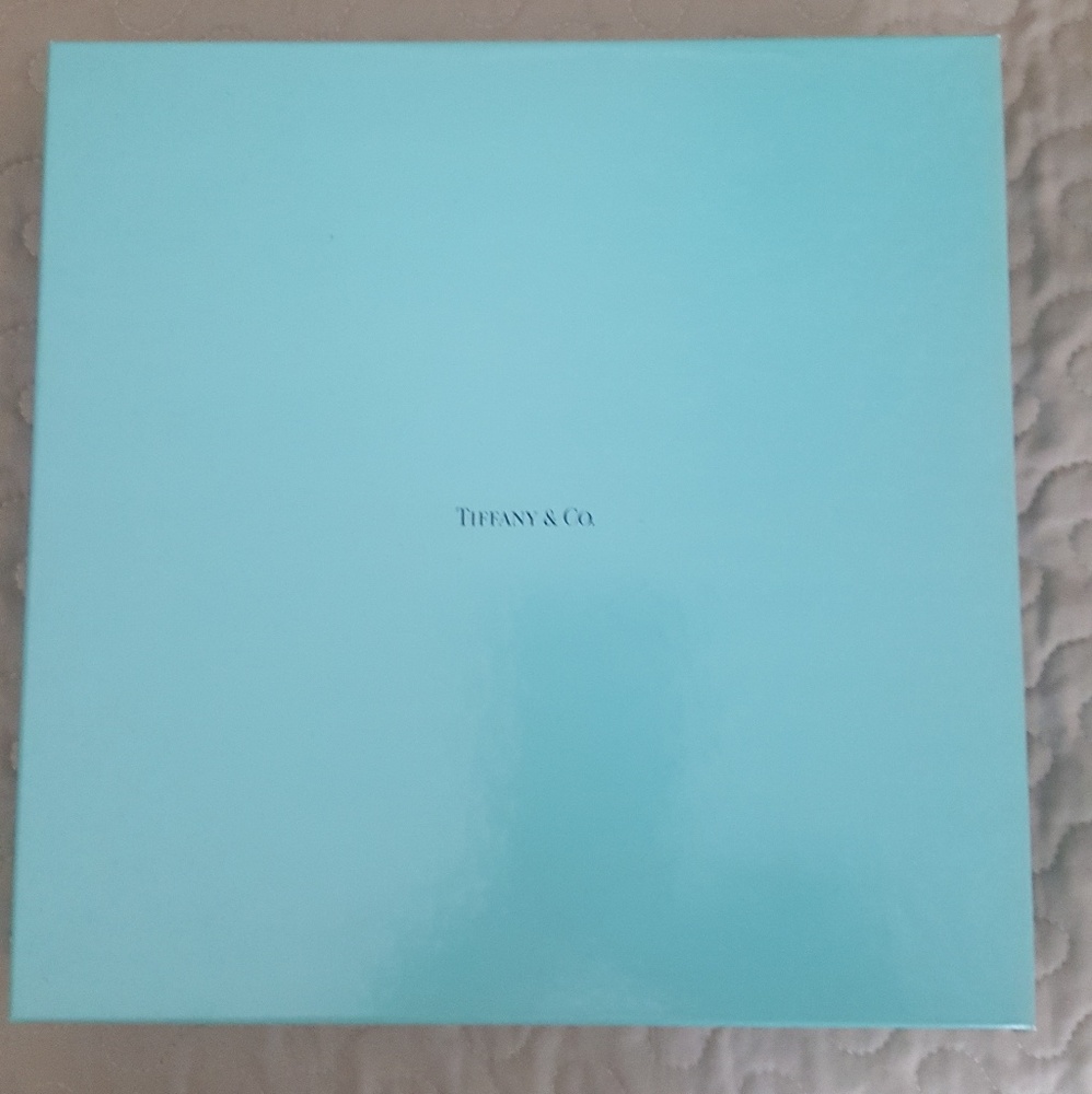 Authentic Vintage Tiffany & Co Scarf